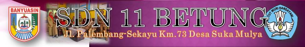 SDN 11 BETUNG